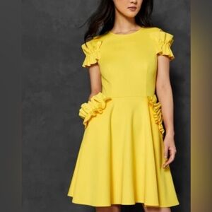 Ted Baker Sunny Yellow Deneese ruffle Dress size 0